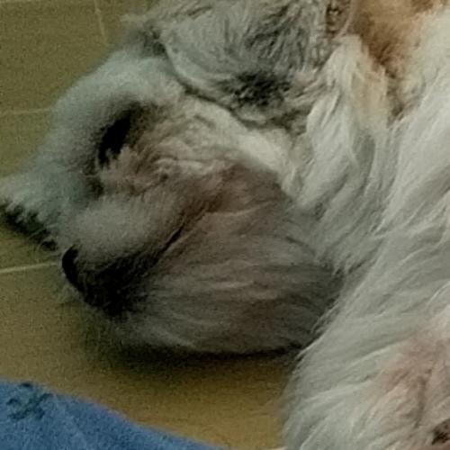 สมาชิกหมายเลข 4888721