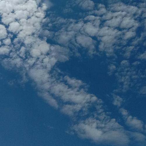 สมาชิกหมายเลข 5224909