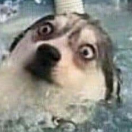 สมาชิกหมายเลข 5730233