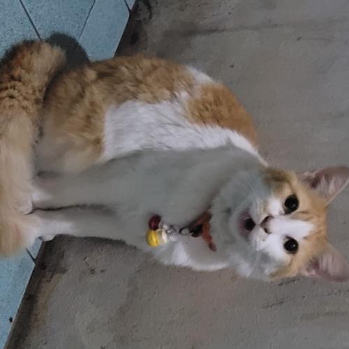 สมาชิกหมายเลข 5967136