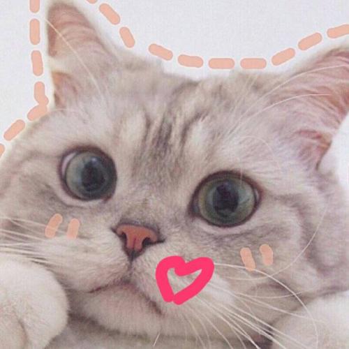 สมาชิกหมายเลข 6314976