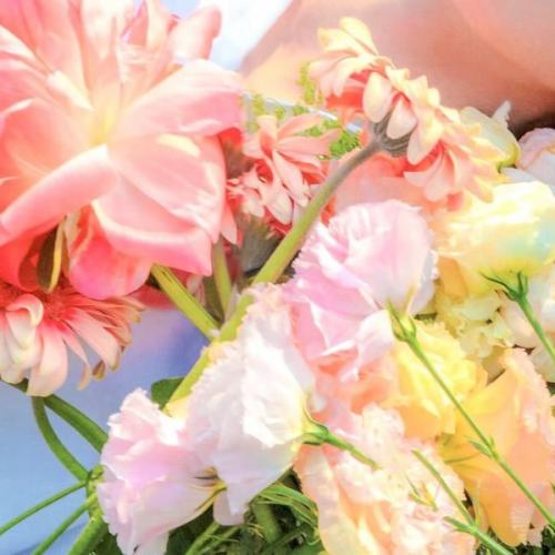 สมาชิกหมายเลข 6315185