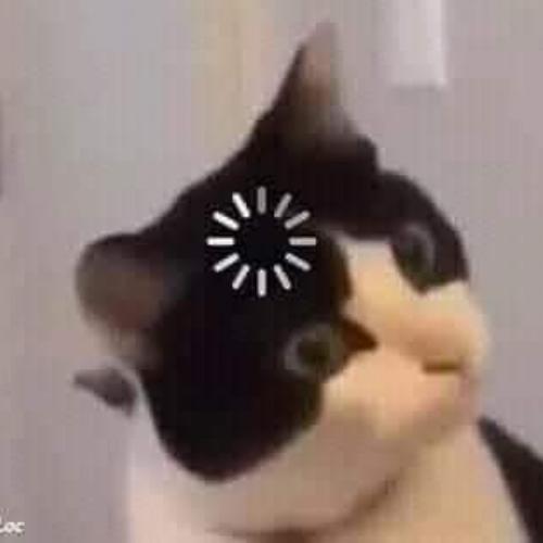 สมาชิกหมายเลข 6315267