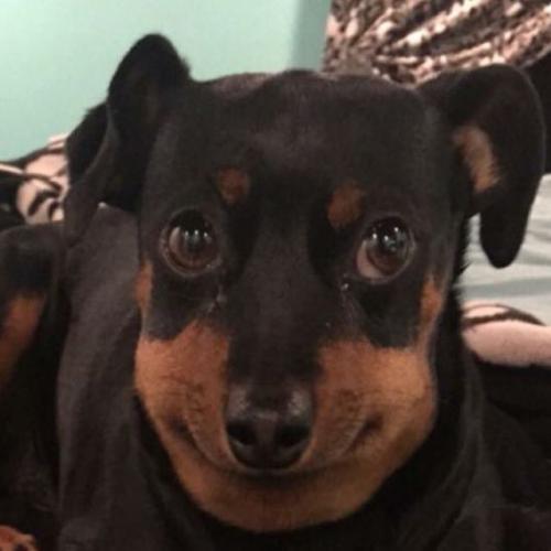 สมาชิกหมายเลข 4859900