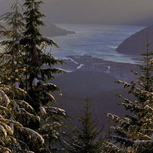 สมาชิกหมายเลข 6994970