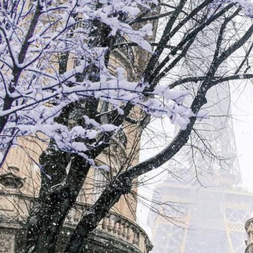 สมาชิกหมายเลข 2621161