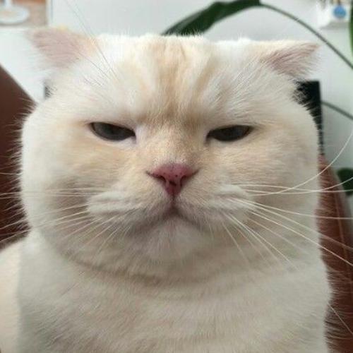 สมาชิกหมายเลข 5957784