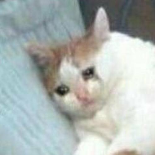 สมาชิกหมายเลข 6219722