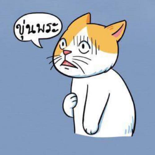 สมาชิกหมายเลข 7804117