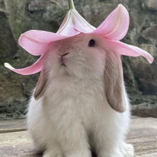 สมาชิกหมายเลข 8208985