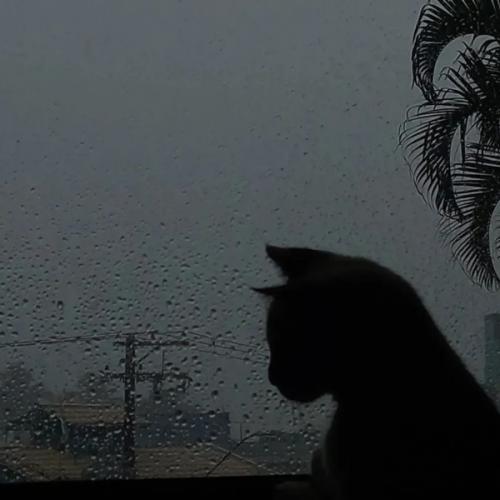 สมาชิกหมายเลข 8716297