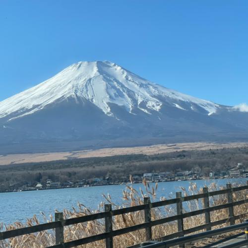 สมาชิกหมายเลข 8720349