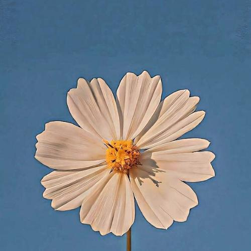 สมาชิกหมายเลข 8720522