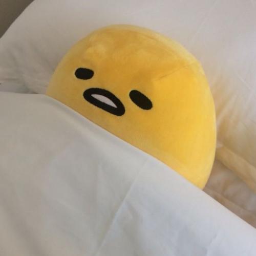 สมาชิกหมายเลข 8721313