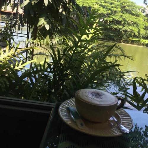 สมาชิกหมายเลข 1489653