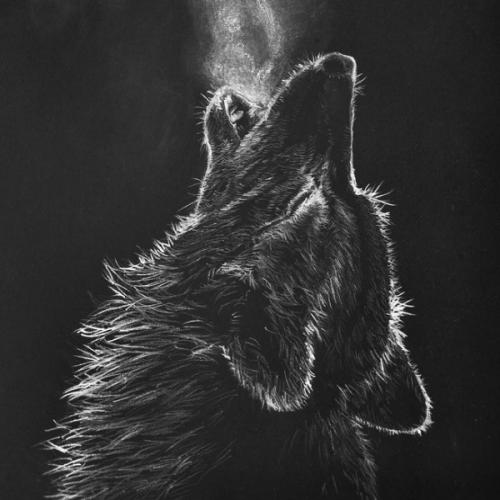 สมาชิกหมายเลข 3653382