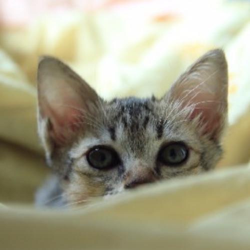 สมาชิกหมายเลข 1009859