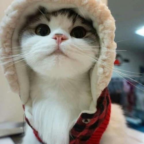 สมาชิกหมายเลข 5283076