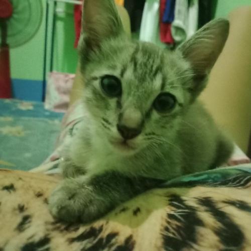 สมาชิกหมายเลข 5730909