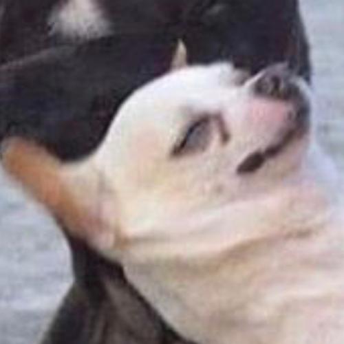 สมาชิกหมายเลข 5731031