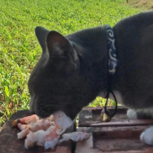 สมาชิกหมายเลข 6315841