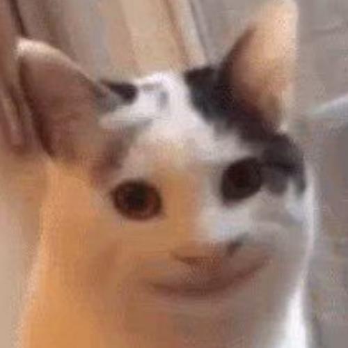 สมาชิกหมายเลข 6316145