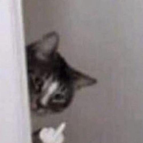 สมาชิกหมายเลข 6991044