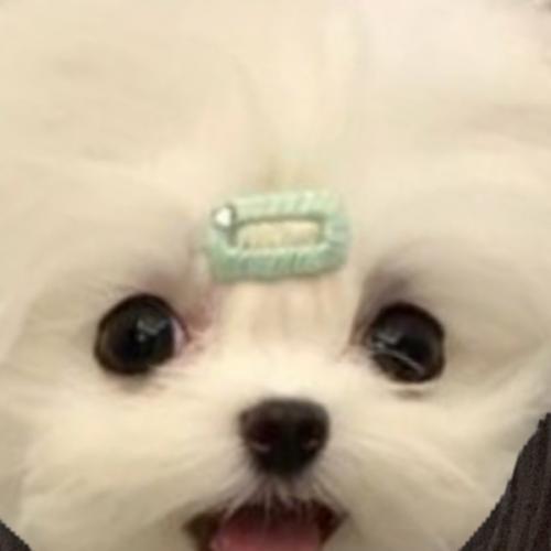 สมาชิกหมายเลข 7544630