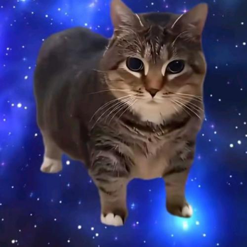 สมาชิกหมายเลข 8722416