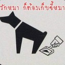 สมาชิกหมายเลข 3641470