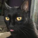 สมาชิกหมายเลข 2116492