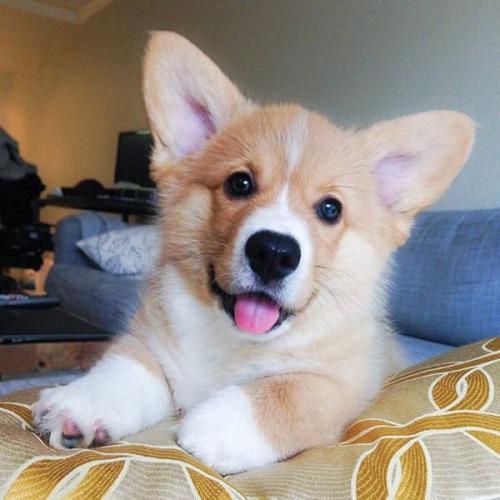 สมาชิกหมายเลข 4124560