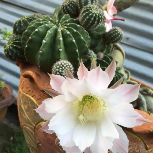 เปลืองเวลา