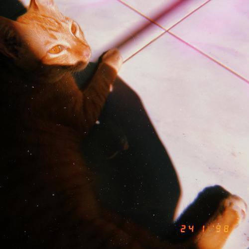 สมาชิกหมายเลข 1589644