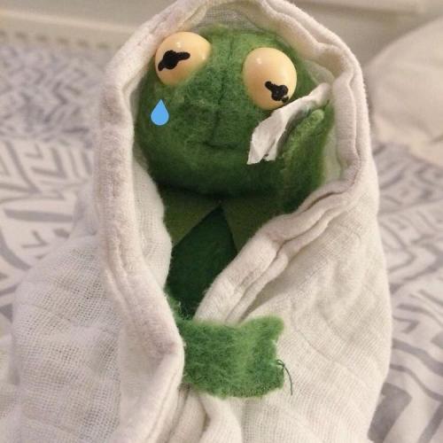 สมาชิกหมายเลข 5161830