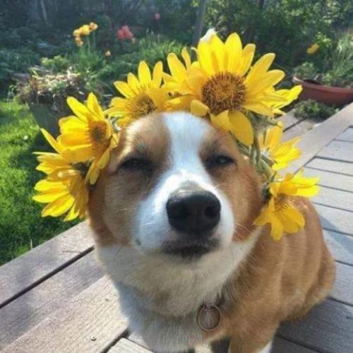 สมาชิกหมายเลข 5273695