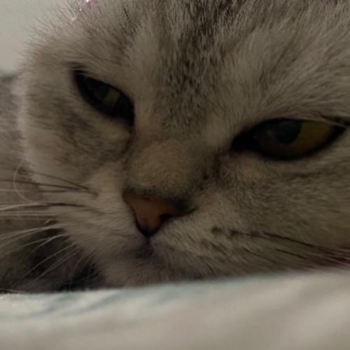 สมาชิกหมายเลข 4354578