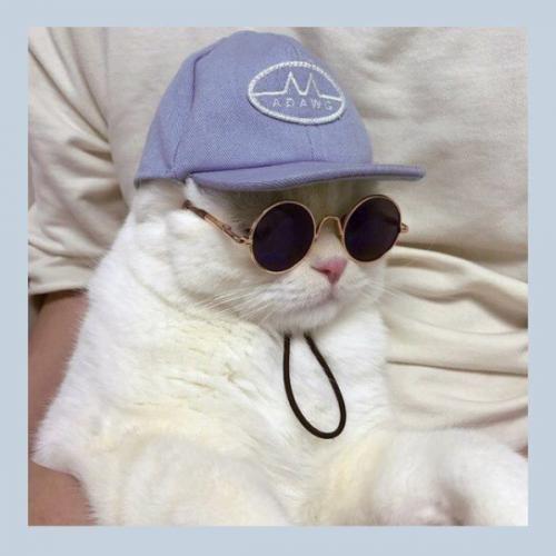 สมาชิกหมายเลข 5728055