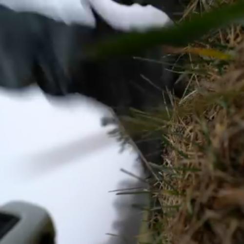 สมาชิกหมายเลข 5731880