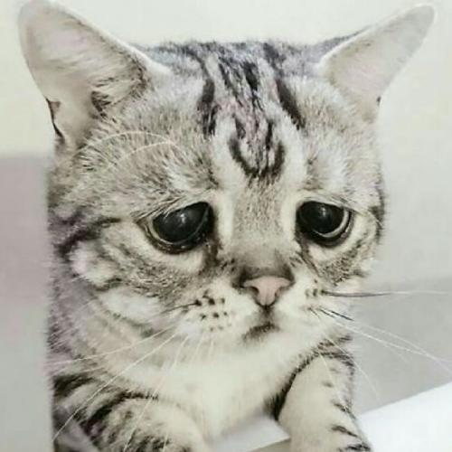 สมาชิกหมายเลข 5731898