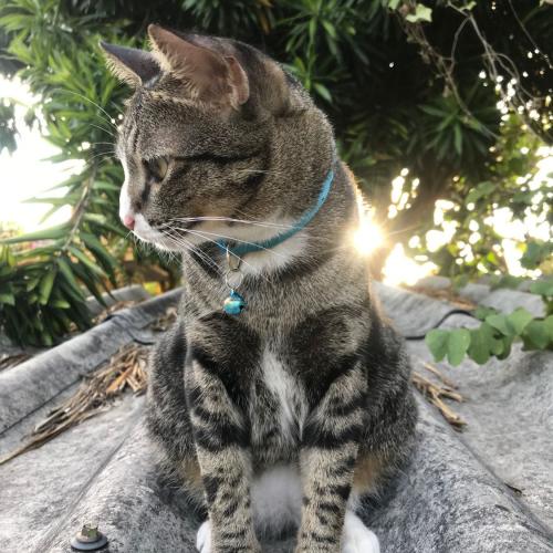 สมาชิกหมายเลข 5191821