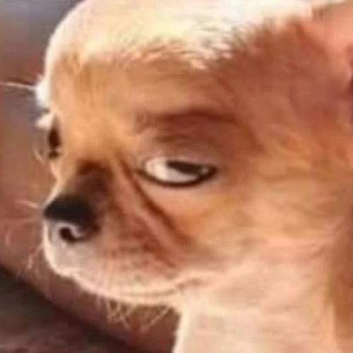 สมาชิกหมายเลข 8547282