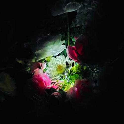 สมาชิกหมายเลข 8723792