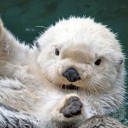 สมาชิกหมายเลข 2678939