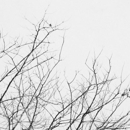 สมาชิกหมายเลข 4050923