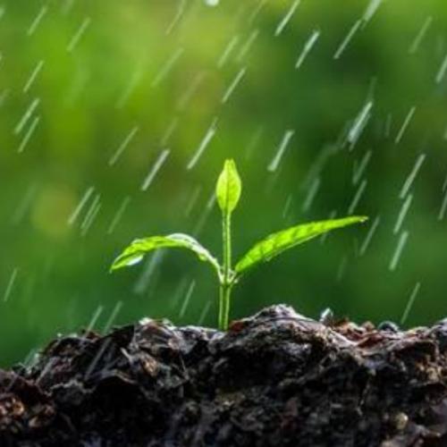 สมาชิกหมายเลข 3831120