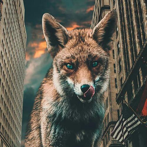 สมาชิกหมายเลข 1388827