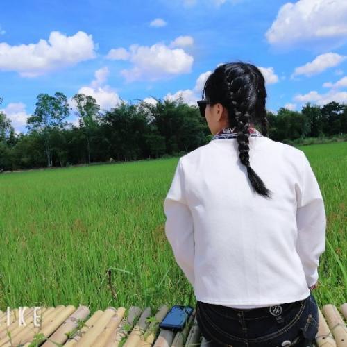 สมาชิกหมายเลข 4846687