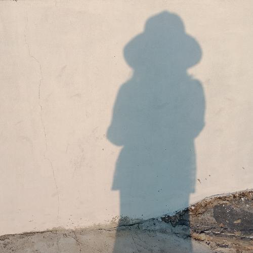 สมาชิกหมายเลข 2950082