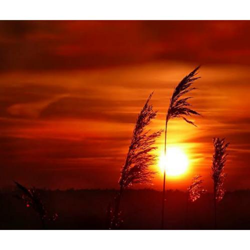 สมาชิกหมายเลข 5732908